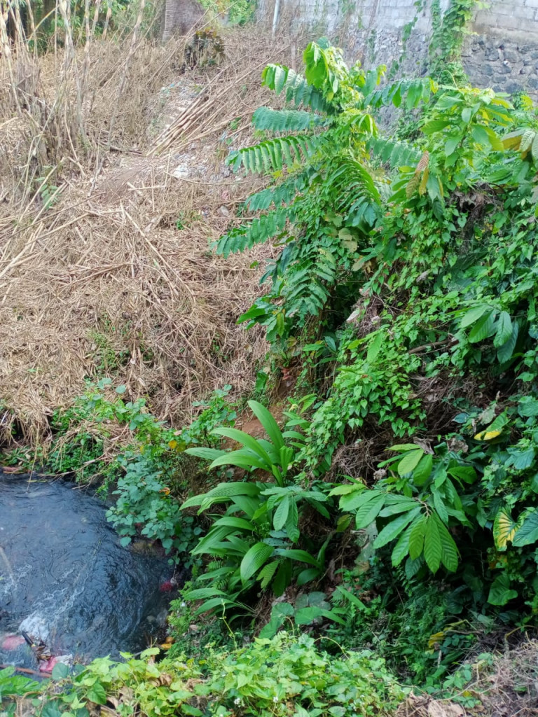 Saluran Irigasi Jebol di Banjar Dajan Peken, Desa Sembung, Kecamatan Mengwi Tanggal 27 Agustus 2024